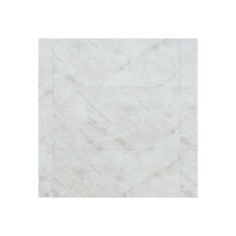 Panele winylowe Arbiton Amaron Forma Braga Silver CAF250